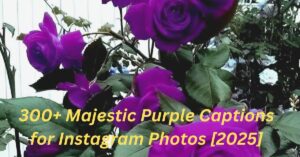 Read more about the article 300+ Majestic Purple Captions for Instagram Photos [2025]