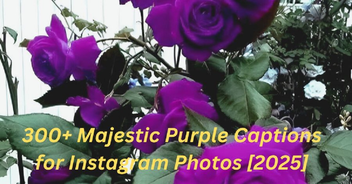 You are currently viewing 300+ Majestic Purple Captions for Instagram Photos [2025]