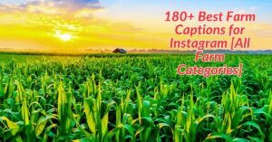 Read more about the article 180+ Best Farm Captions for Instagram [All Farm Categories]