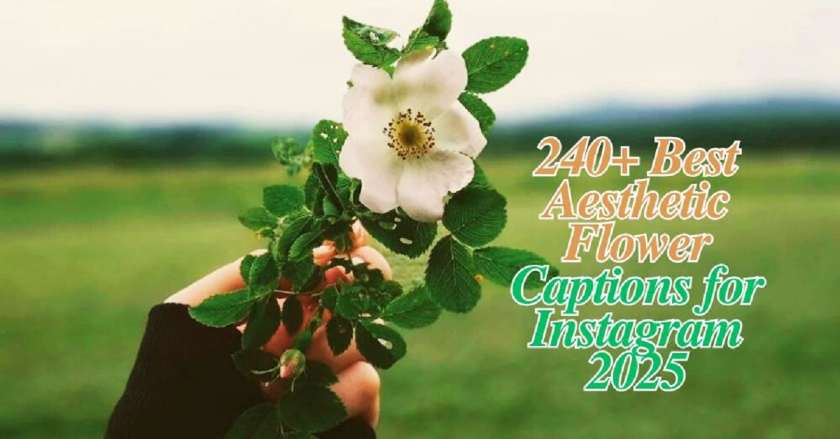 Read more about the article 240+ Best Aesthetic Flower Captions for Instagram 2025