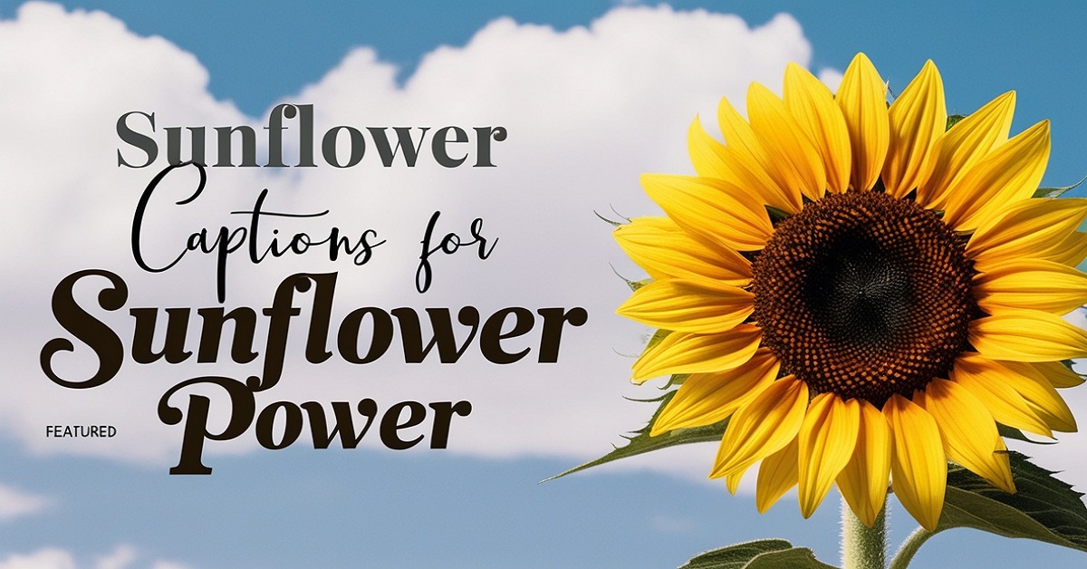 Read more about the article 150+ Beautiful Sunflower Captions for Instagram Photos (2025)