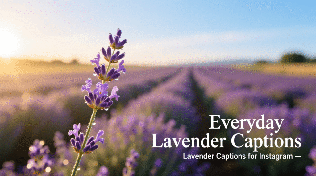 Lavender Captions for Instagram