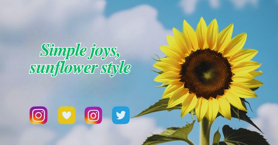 Sunflower Captions for Instagram 